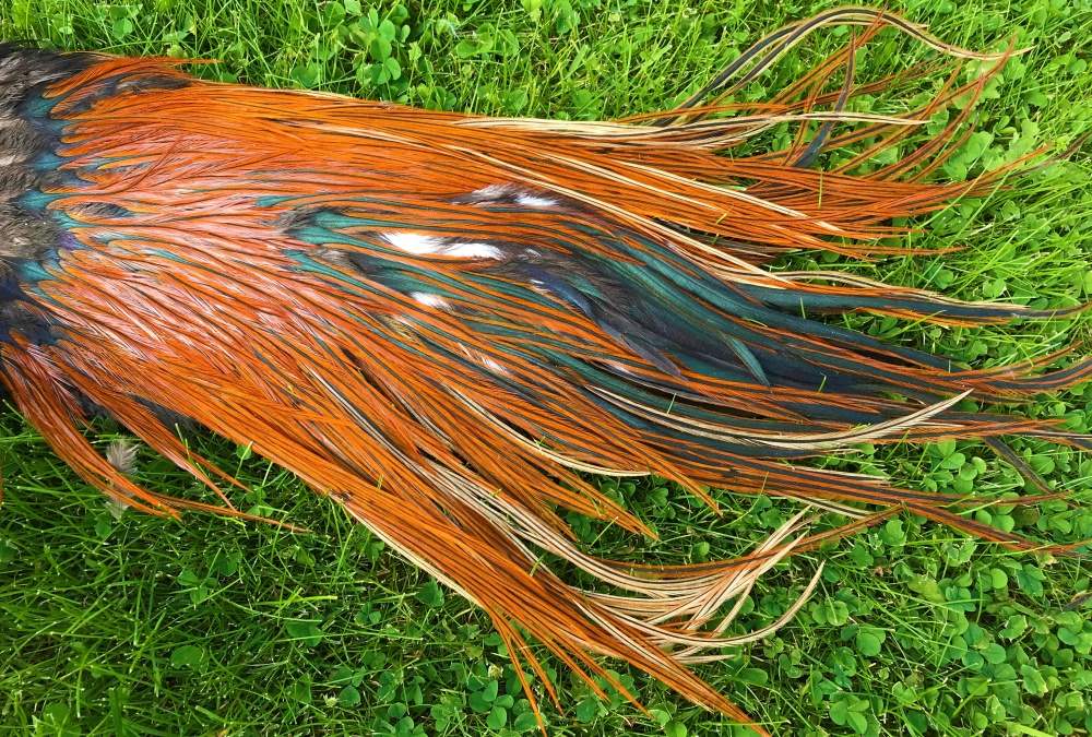 Metz Cock Feather Saddle Grade 2 Fiery Brown Fly Tying Materials